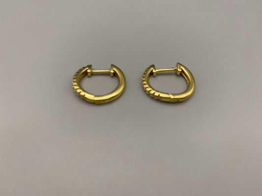 “Taga Elegant Hoop Earrings Gold: A perfect blend of sophistication and modern design, featuring gold plating for a luxurious finish, durable stainless steel construction, and sparkling zirconia gems. Stylish and contemporary, perfect for any occasion.”