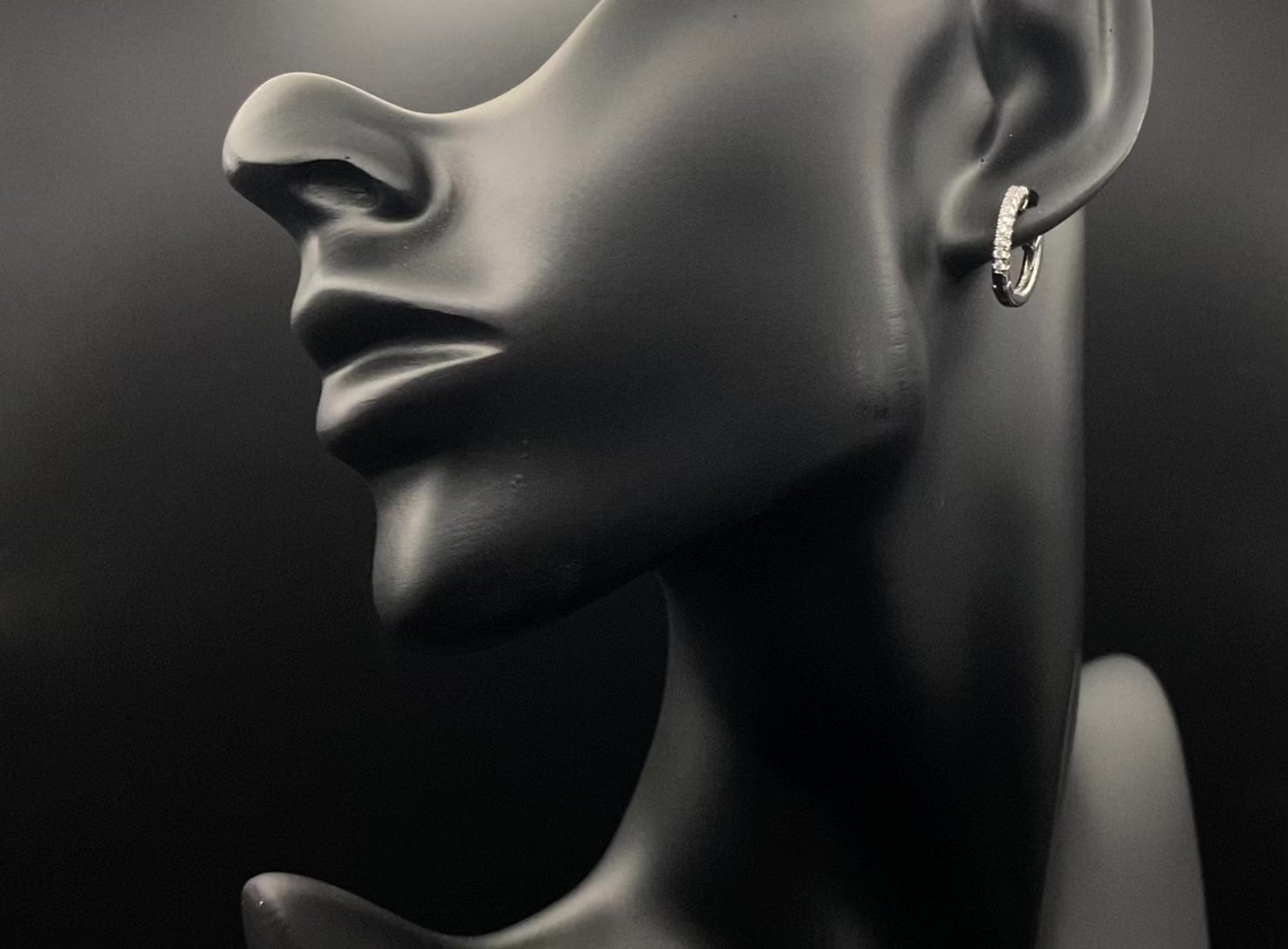 “Taga Elegant Hoop Earrings Silver: A perfect blend of sophistication and modern design, featuring silver plating for a luxurious finish, durable stainless steel construction, and sparkling zirconia gems. Stylish and contemporary, perfect for any occasion.”